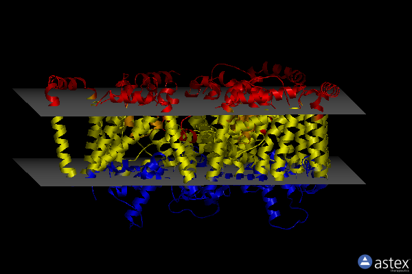 Membrane view of 8tz7