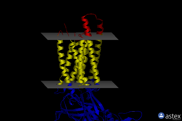 Membrane view of 8tzp
