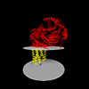 Membrane view of 8tzq