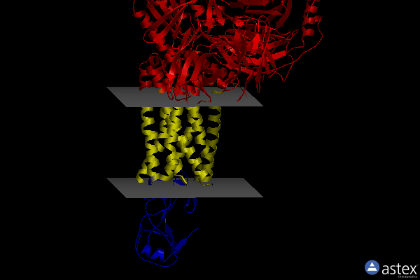 Membrane view of 8u1u