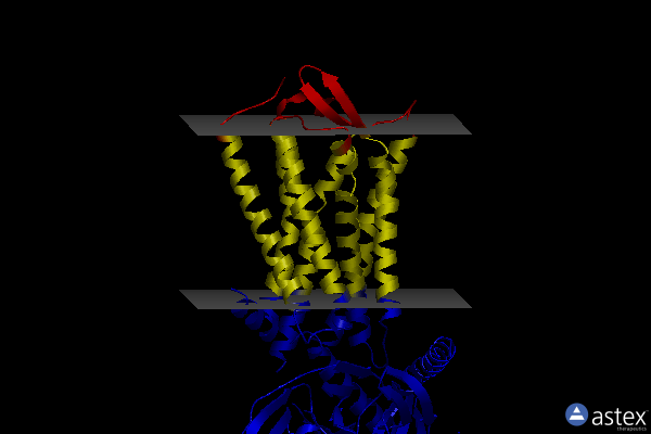 Membrane view of 8u26