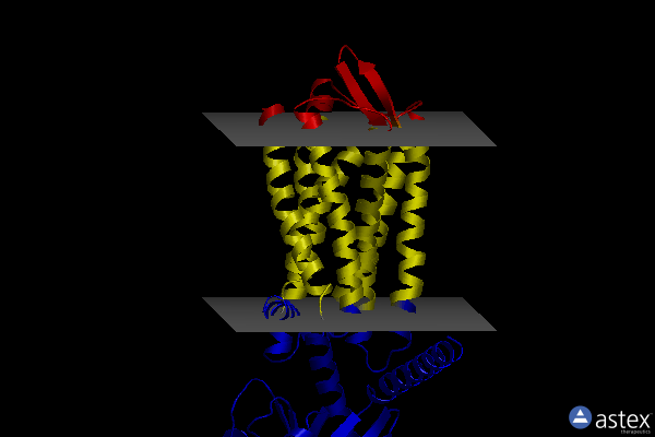 Membrane view of 8u4n