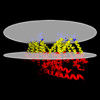 Membrane view of 8u53