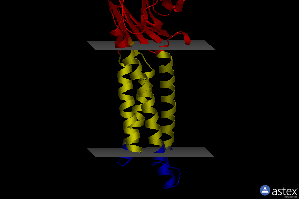 Membrane view of 8u5b