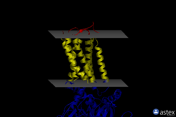 Membrane view of 8u8f
