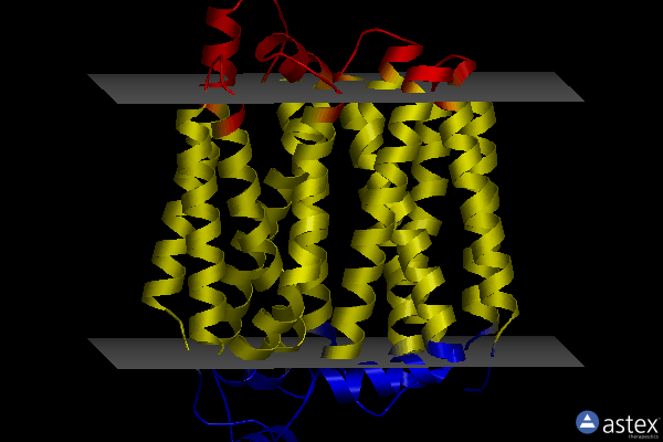 Membrane view of 8ubx