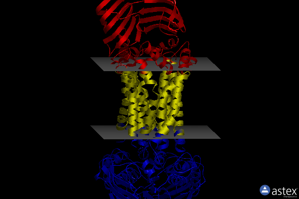 Membrane view of 8ufh