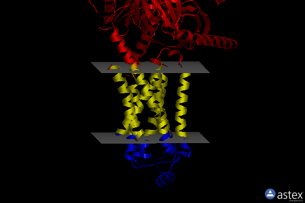 Membrane view of 8unl