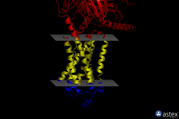 Membrane view of 8unn