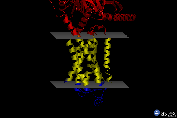 Membrane view of 8uno