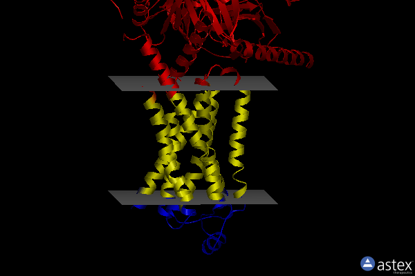 Membrane view of 8unp