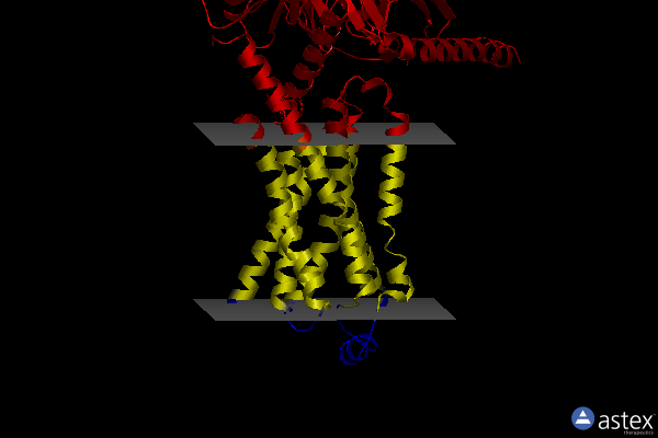 Membrane view of 8unq