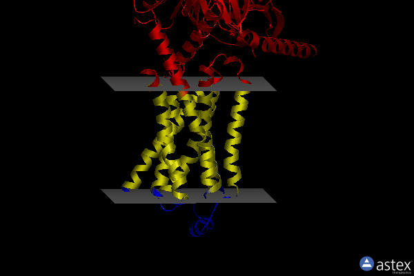 Membrane view of 8unt