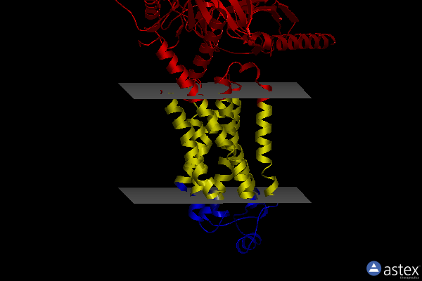Membrane view of 8unw