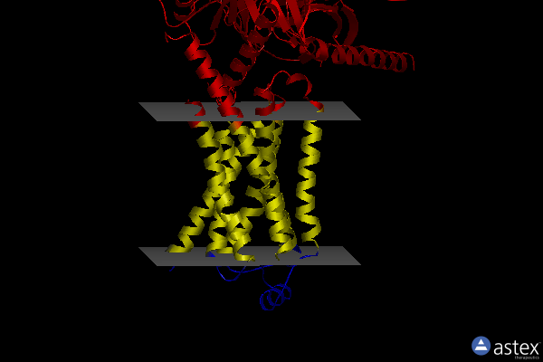 Membrane view of 8uny