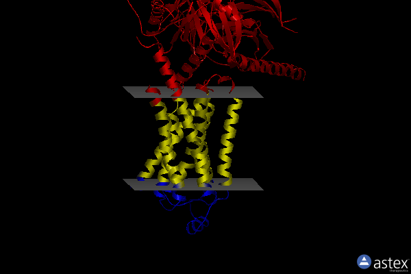 Membrane view of 8uo1