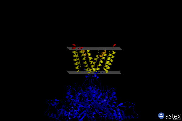 Membrane view of 8usx