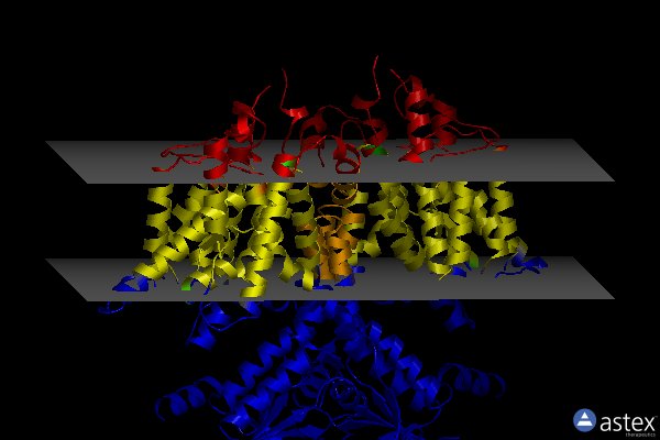 Membrane view of 8uuk