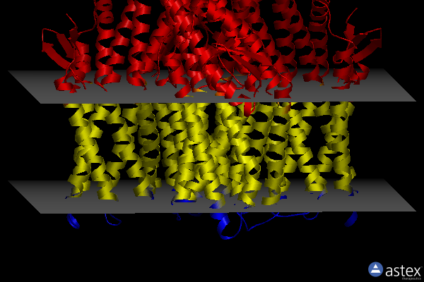 Membrane view of 8uvt