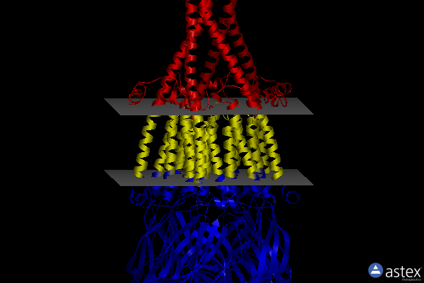 Membrane view of 8uzj