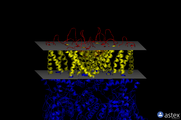 Membrane view of 8v6l