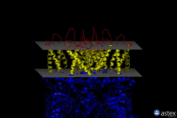 Membrane view of 8v6m