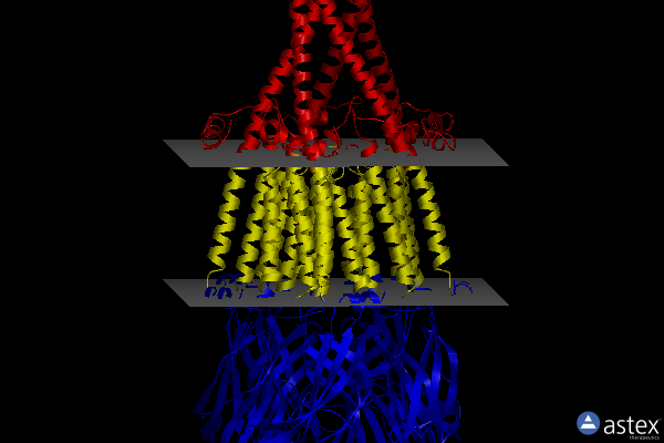 Membrane view of 8v82