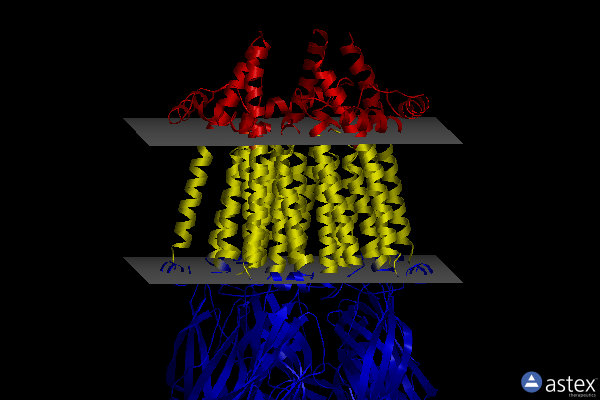 Membrane view of 8v8c