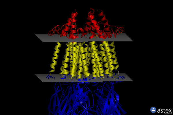 Membrane view of 8v8d