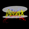 Membrane view of 8vc6
