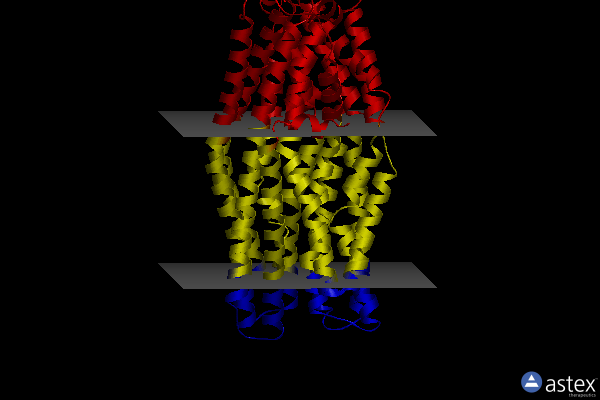 Membrane view of 8vsi