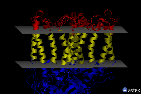 Membrane view of 8vtj