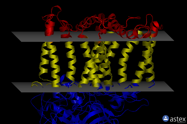 Membrane view of 8vtm