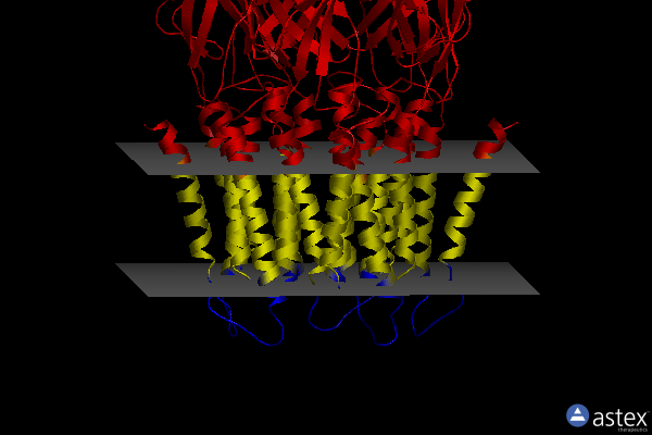 Membrane view of 8vuw