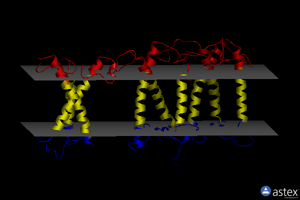 Membrane view of 8w4p