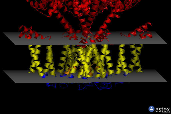 Membrane view of 8w4u