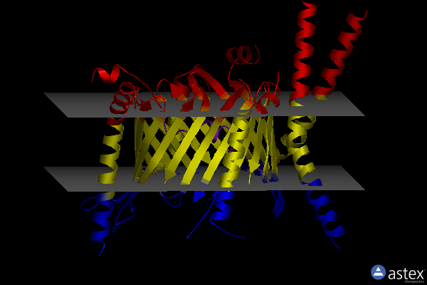 Membrane view of 8w5j
