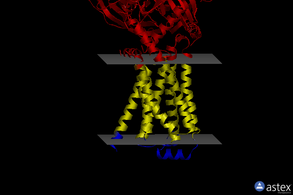 Membrane view of 8w87