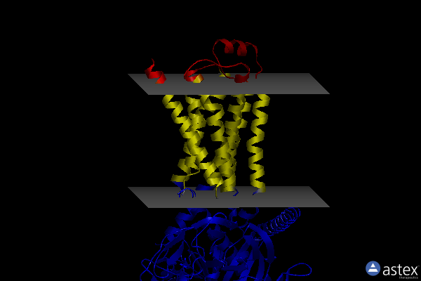 Membrane view of 8w88