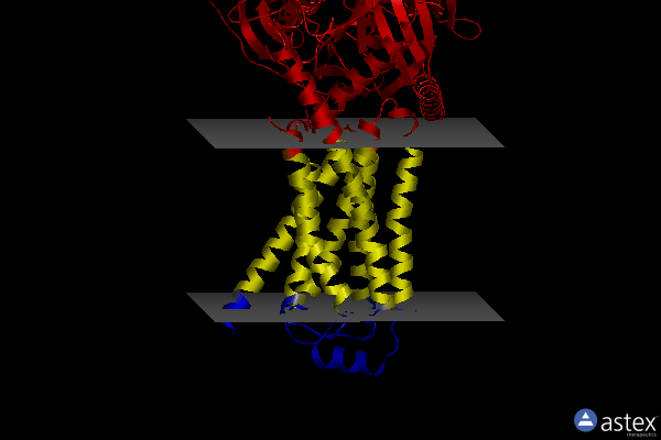 Membrane view of 8w89