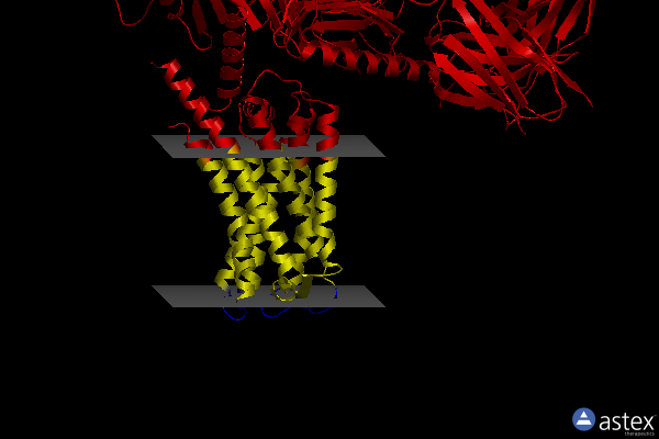 Membrane view of 8w8r
