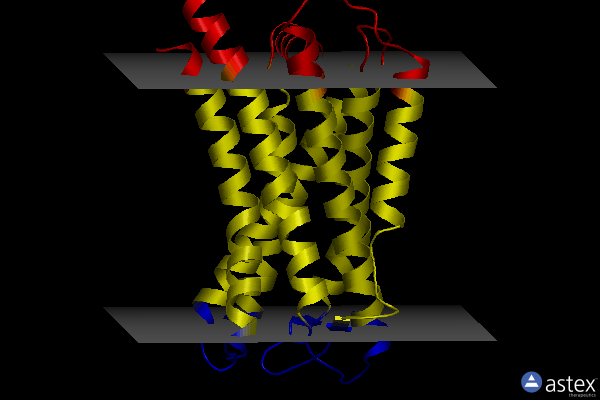 Membrane view of 8w8s