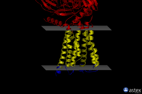 Membrane view of 8wa3