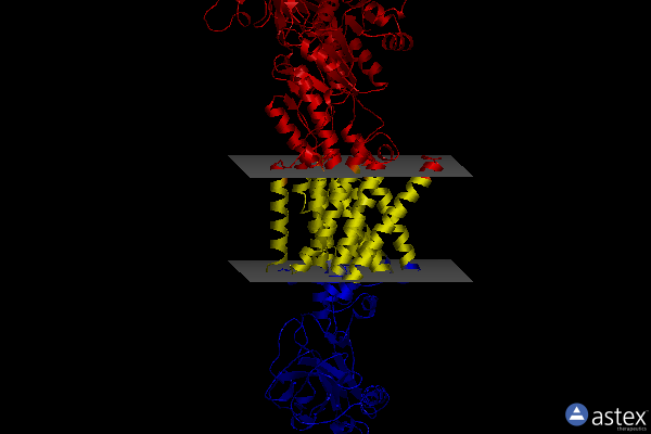 Membrane view of 8wa5
