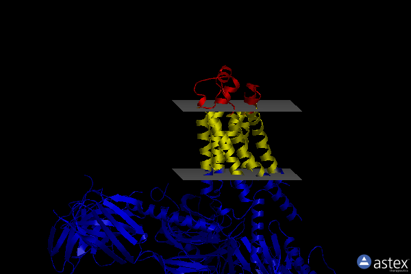 Membrane view of 8wc6