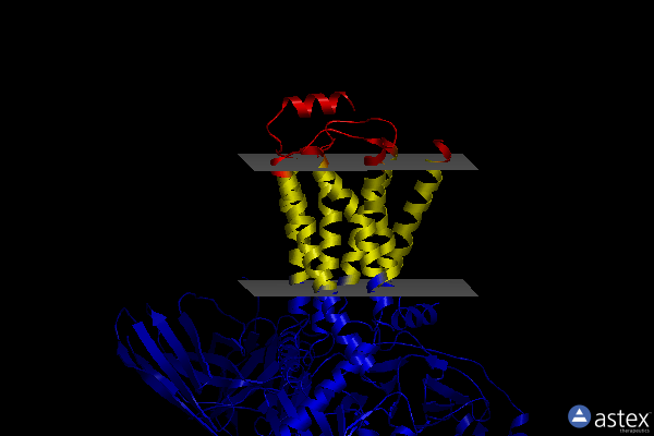 Membrane view of 8wca