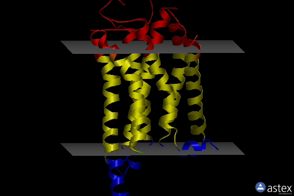 Membrane view of 8wcc