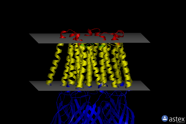 Membrane view of 8wcr