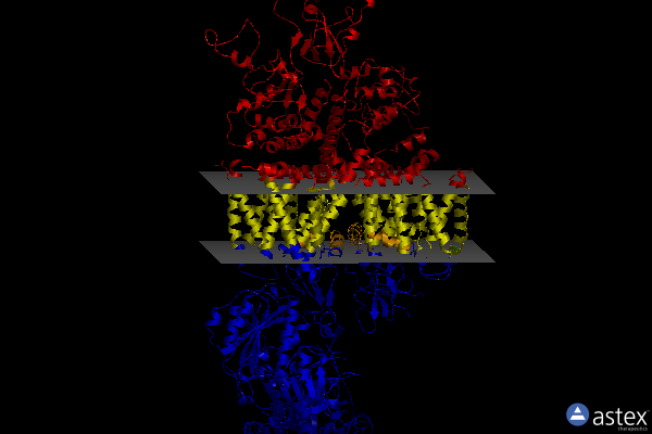 Membrane view of 8we9
