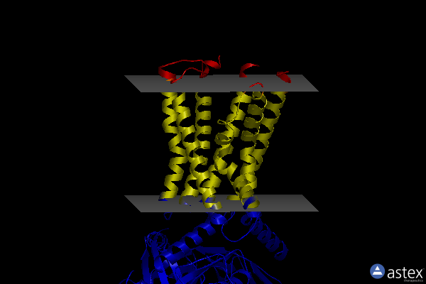 Membrane view of 8wg7